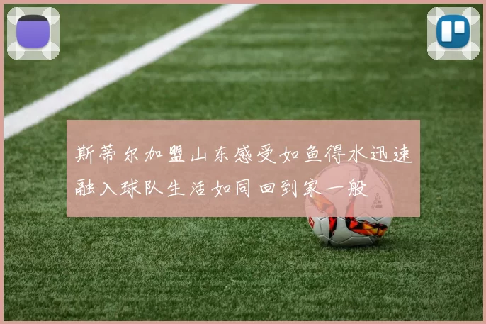 斯蒂尔加盟山东感受如鱼得水迅速融入球队生活如同回到家一般