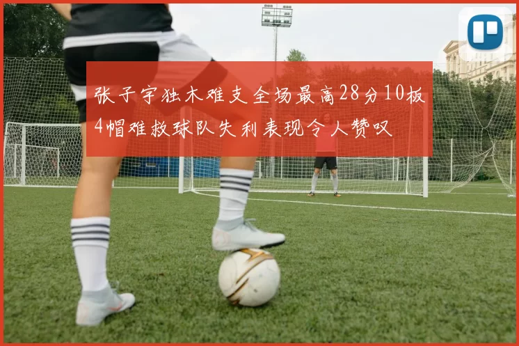 张子宇独木难支全场最高28分10板4帽难救球队失利表现令人赞叹
